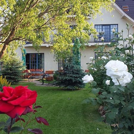 Villa Westfalia Guest House Тиргу-Секуєск Екстер'єр фото