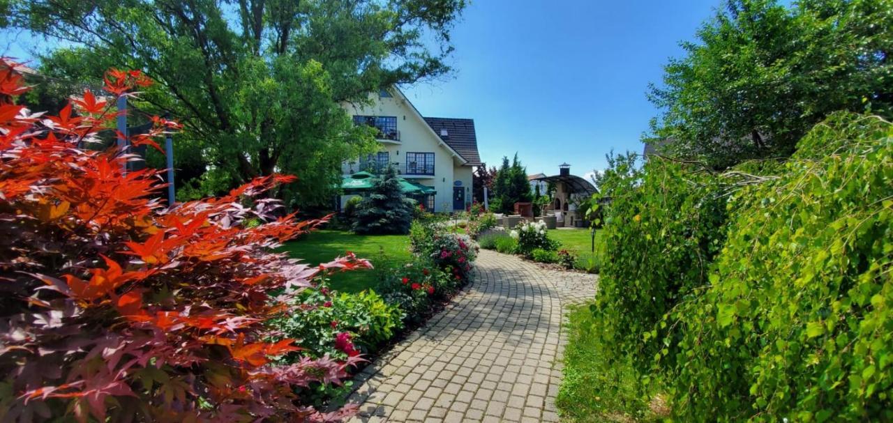 Villa Westfalia Guest House Тиргу-Секуєск Екстер'єр фото