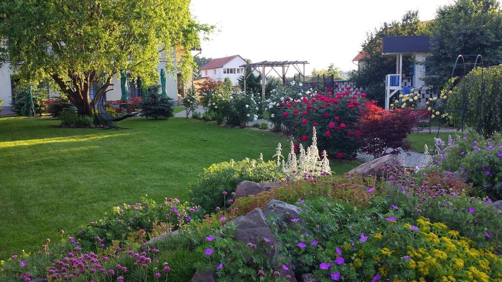 Villa Westfalia Guest House Тиргу-Секуєск Екстер'єр фото