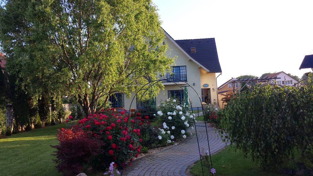 Villa Westfalia Guest House Тиргу-Секуєск Екстер'єр фото