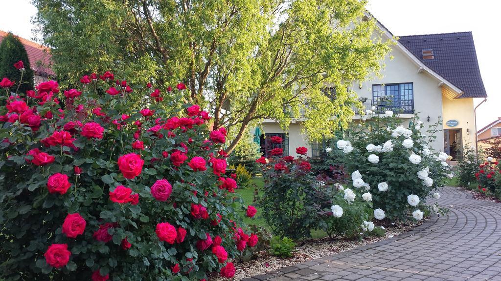 Villa Westfalia Guest House Тиргу-Секуєск Екстер'єр фото