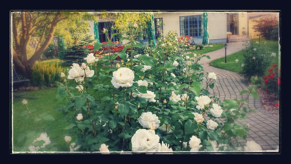 Villa Westfalia Guest House Тиргу-Секуєск Екстер'єр фото